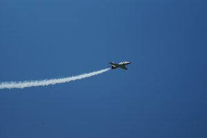 DSC02960